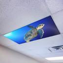Sea turtle magnetic light covers