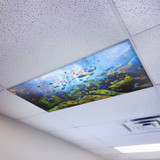 coral reef magnetic light covers fluorescent light cover fluorescent light plastic cover replacement fluorescent light diffuser cover how to remove fluorescent light cover how to remove fluorescent light
