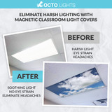magnetic sky cloud diffusers for ceiling lights fixtures	 taking off fluorescent light cover 2x4 fluorescent light cover 4 foot fluorescent light cover how to remove a fluorescent light cover