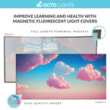 magnetic cloud light diffuser fixtures taking off fluorescent light cover 2x4 fluorescent light cover 4 foot fluorescent light cover how to remove a fluorescent light cover