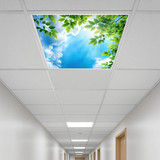 florescent plastic panel drop lowes sale transparent what is the frame pannels lucite