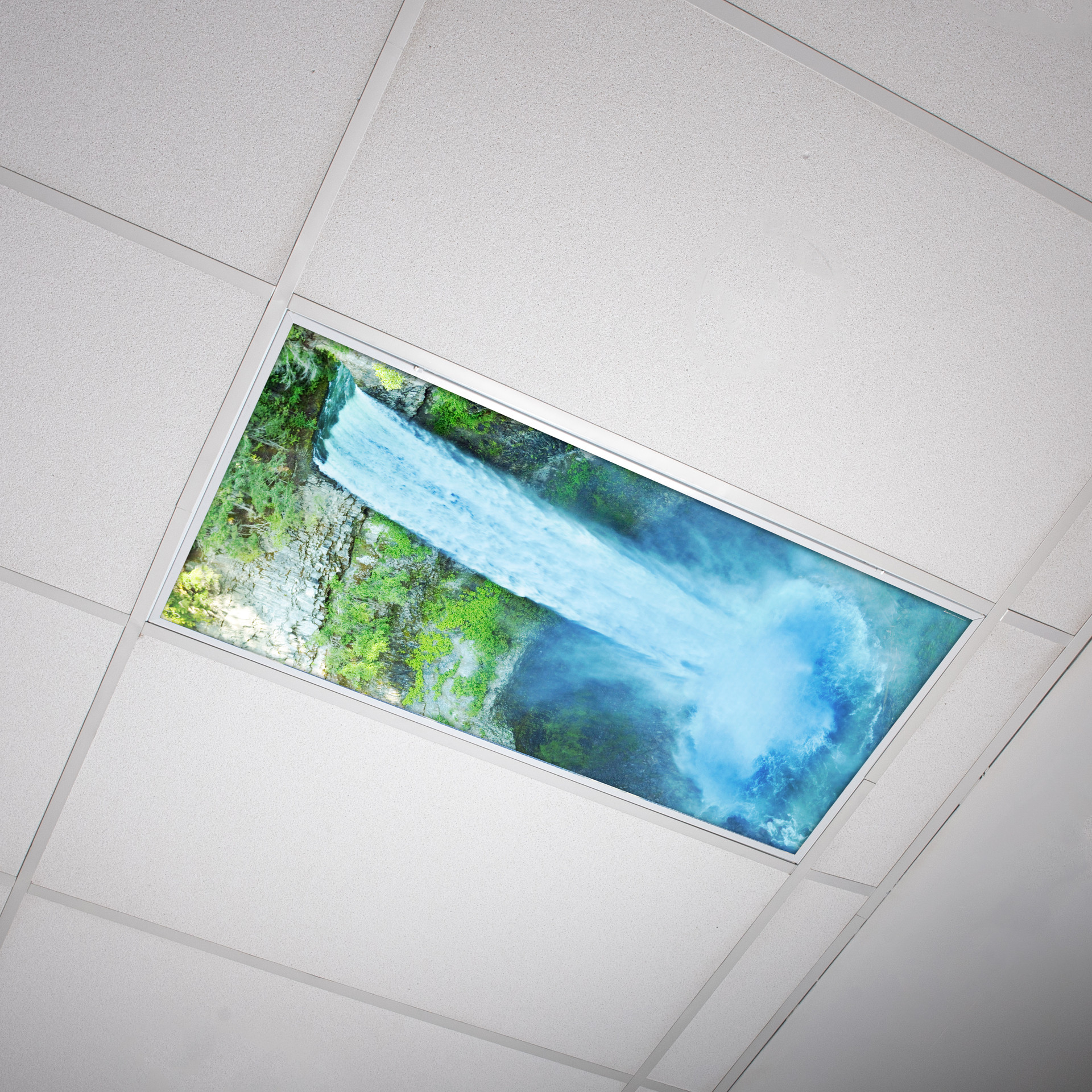 Tree Fluorescent Light Covers Classroom