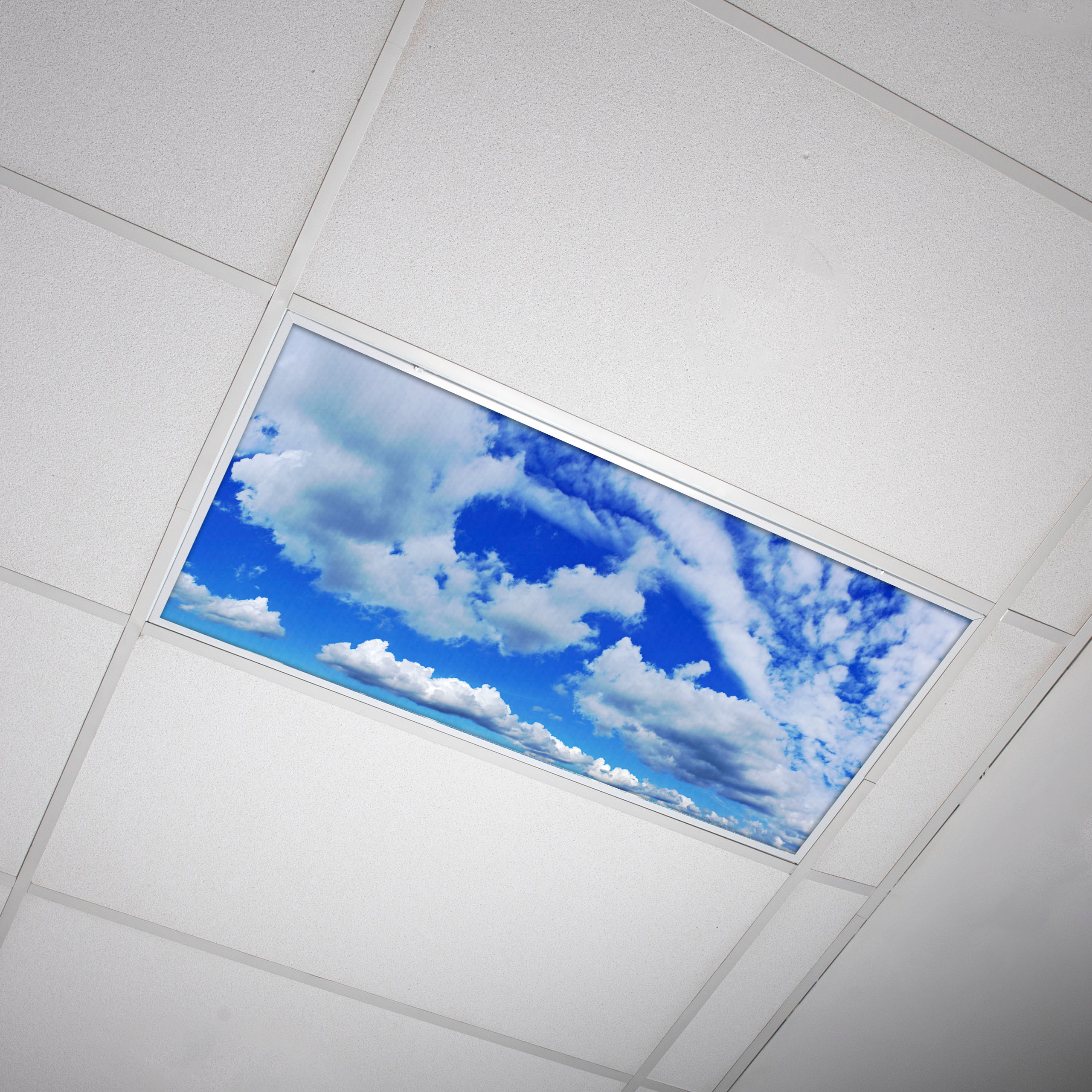 Tree Fluorescent Light Covers Classroom