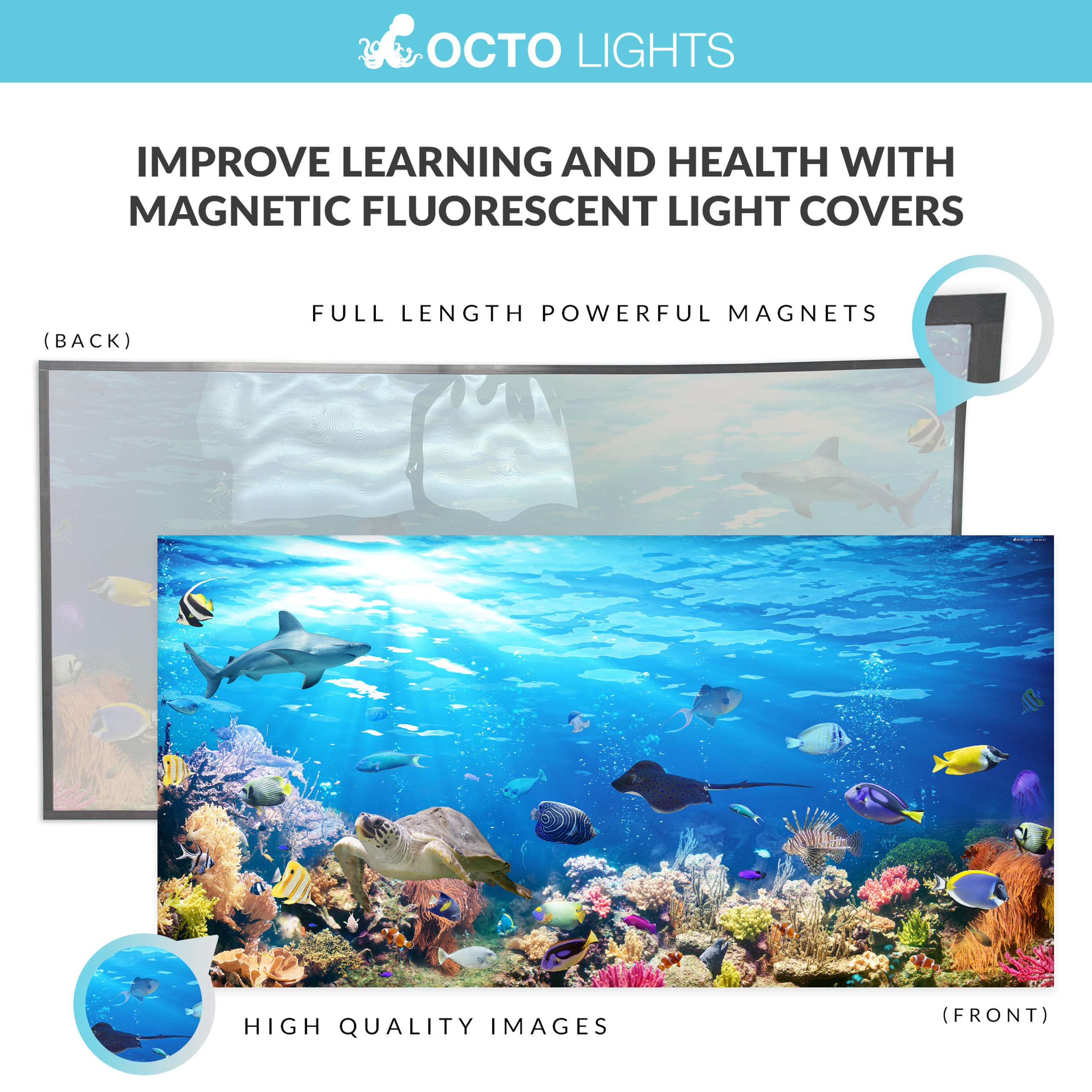 Light Covers Octo Lights