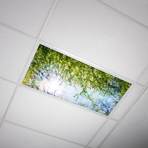 Tree Decorative Light Panels  Buy Kitchen Light Covers