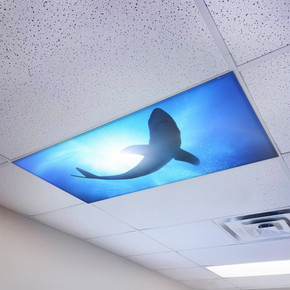 Shark-themed magnetic light covers