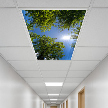 fluorescent light covers ceiling cover covered lights diffuser fixture lamp lighting covering with for fluro replacement flourescent bulb