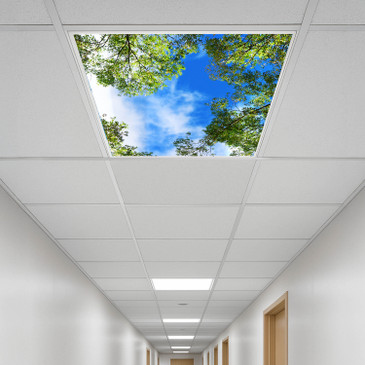 florescent plastic panel drop lowes round tinted lightshade 48 inch camera cap cloth  home depot egg crate