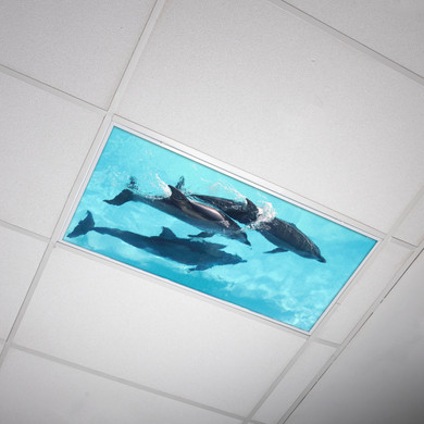 Dolphin Fluorescent Light Panels Ocean Light Fixture Covers