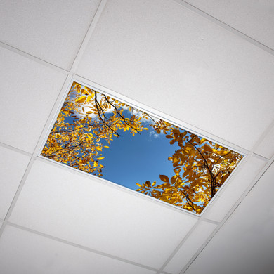 Transform classroom lighting with captivating fall foliage light cover (available in 2x4).