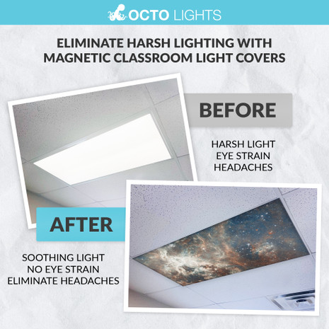 magnetic light diffusers for science classroom fixtures	 taking off fluorescent light cover 2x4 fluorescent light cover 4 foot fluorescent light cover how to remove a fluorescent light cover