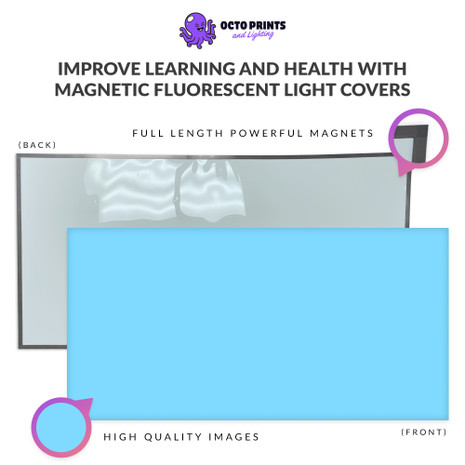 magnetic light covers to cover the fluorescent lights in classrooms