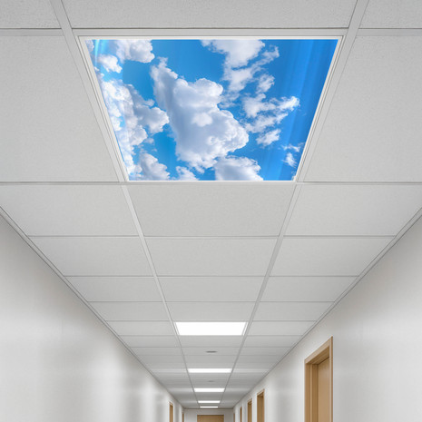 fixtures barry in lightweight plexiglass sale transparent what is the  round tinted lightshade 48 inch camera cap cloth