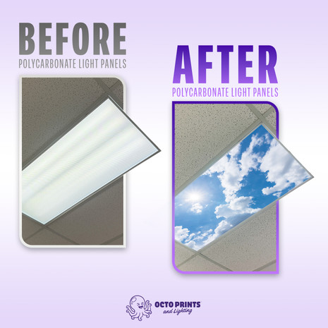 bulbs 4 foot grid colored dome shop fluorolite plastics recessed square 2x4 ft can diffusing down filter flourscent replacements fixtures barry in lightweight plexiglass sale transparent what is the