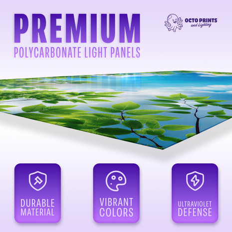 bulbs 4 foot grid colored dome shop fluorolite plastics recessed square 2x4 ft can diffusing down filter flourscent replacements fixtures barry in lightweight plexiglass