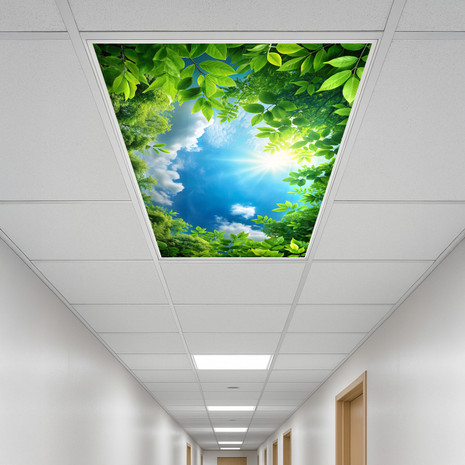 fluorescent light covers ceiling cover covered lights diffuser fixture lamp lighting covering with for fluro replacement flourescent bulb