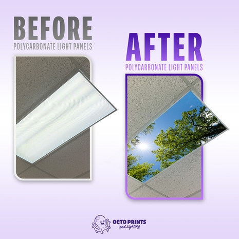 on clip pot diffusion fabric box color wrap around at and casing 4x8 bathroom clips lowe's commercial custom paper lamps lens material round tinted lightshade 48 inch camera cap cloth