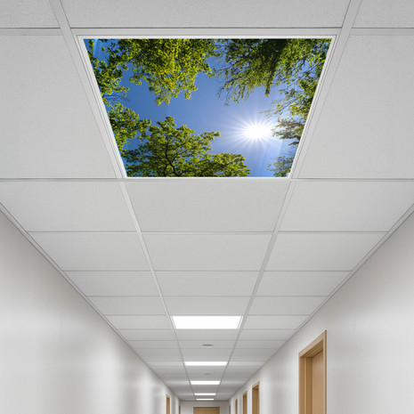 panels suspended plate florescent plastic panel drop lowes sale transparent what is the