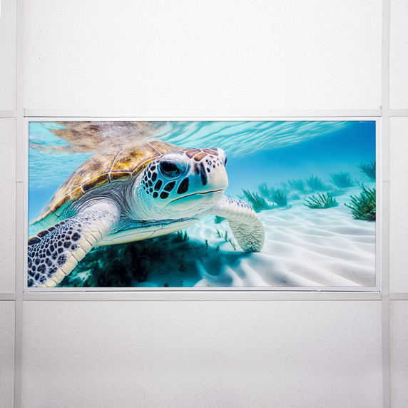 Sea Turtle Classroom Light Covers