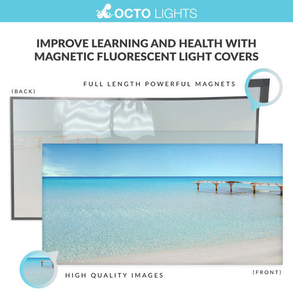 beach-themed magnetic light filters for home use