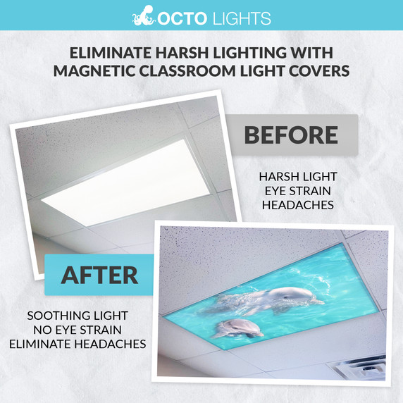 ocean magnetic light panels