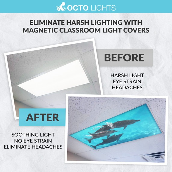 Underwater magnetic light filters