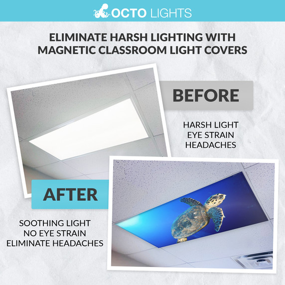 Marine life LED light diffusers