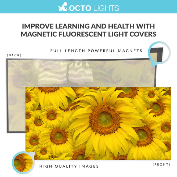 Magnetic sunflower light diffuser