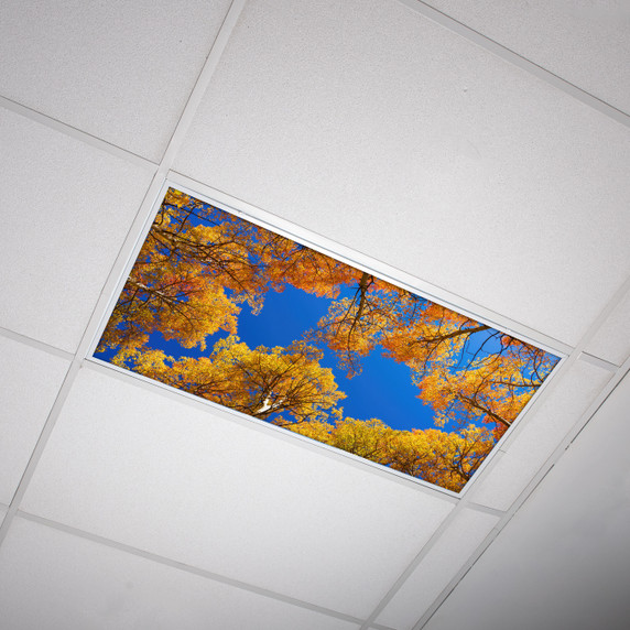 Fall leaves fluorescent light cover promotes relaxation and creativity in teachers and students.