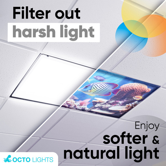 Illustrative image showing the soft light diffusion effect of ocean-themed fluorescent light covers.