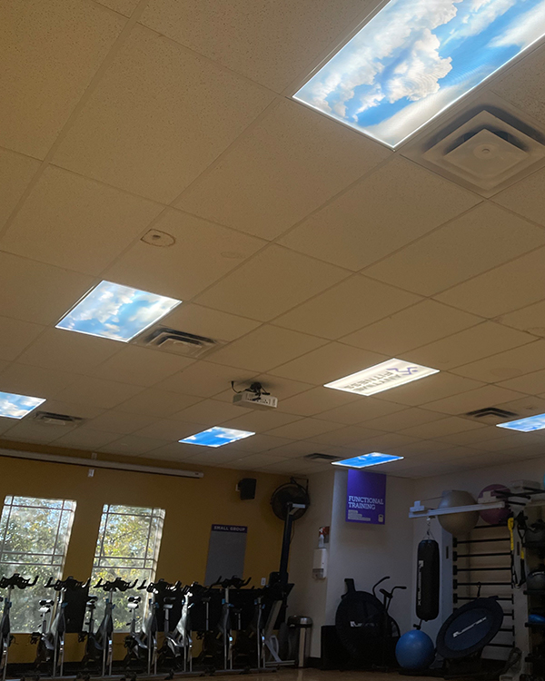 https://cdn11.bigcommerce.com/s-wkmnhwueh4/images/stencil/original/image-manager/medical-gym-fluorescent-light-covers.jpg?t=1662578132&_gl=1*nbnf6q*_ga*MTMwNjkyMDk0Ni4xNjYyNTc4NTQy*_ga_WS2VZYPC6G*MTY2MjU3ODU0MS4xLjEuMTY2MjU3ODc0MC41Mi4wLjA. https://cdn11.bigcommerce.com/s-wkmnhwueh4/images/stencil/original/image-manager/medical-gym-fluorescent-light-covers.jpg?t=1662578132&_gl=1*nbnf6q*_ga*MTMwNjkyMDk0Ni4xNjYyNTc4NTQy*_ga_WS2VZYPC6G*MTY2MjU3ODU0MS4xLjEuMTY2MjU3ODc0MC41Mi4wLjA.