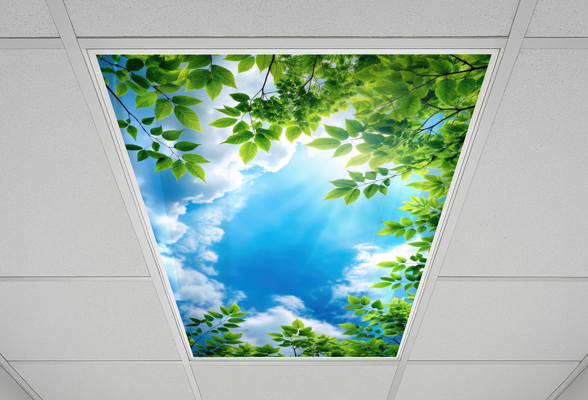 Tree Cloud Polycarbonate Light Panel