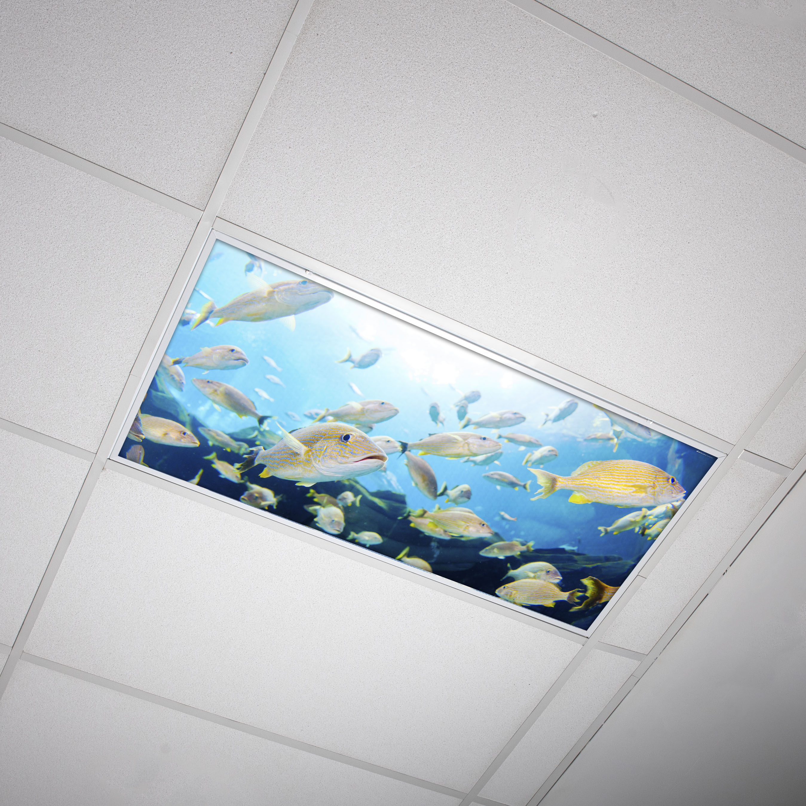 Maximize Your Office Lighting with Magnetic Fluorescent Light Covers