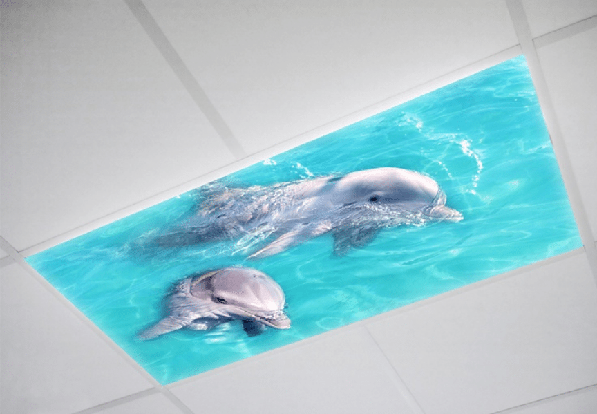 Why Use Octolights for Your Decorative Light Covers? - Octo Prints ...