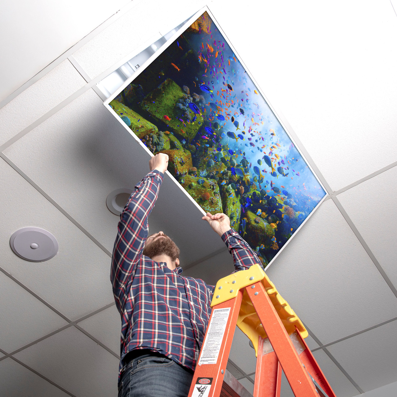 Installer placing a coral reef light cover into a ceiling fixture