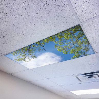 Tree branches against blue sky magnetic light cover