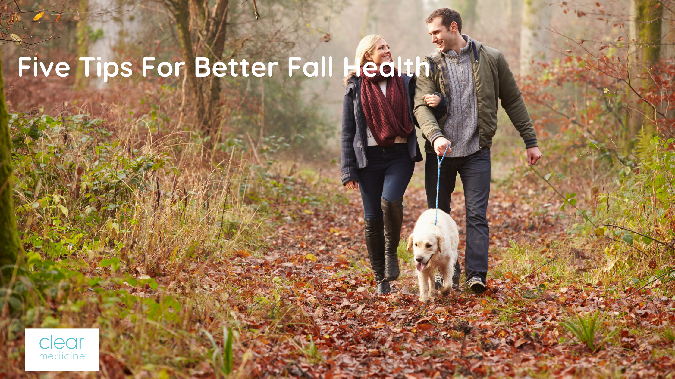 Five Tips for Better Fall Health 2024