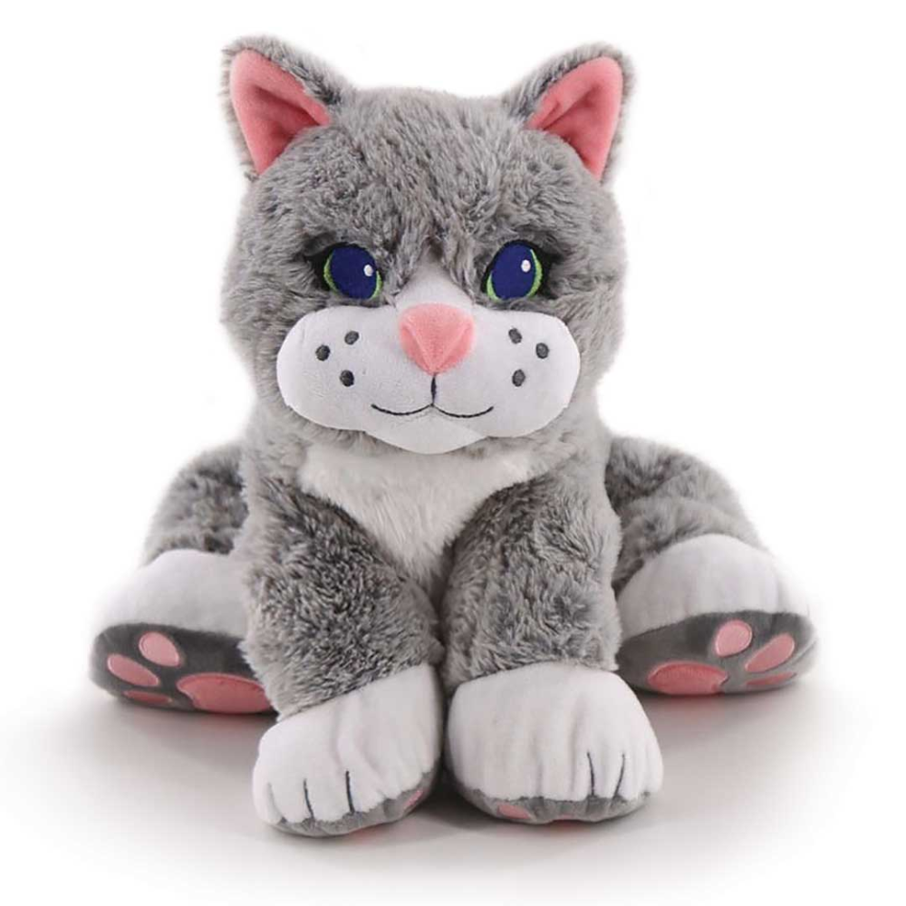 Chloe the Comfort Cat | National Autism Resources