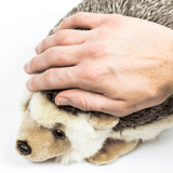 Hedgehog Weighted Stuffed Animal