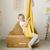 Sensory Swing