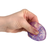 Sugar Squeeze Shell Set of 3