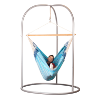 Sensory Swing