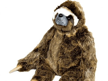 Weighted Category Image