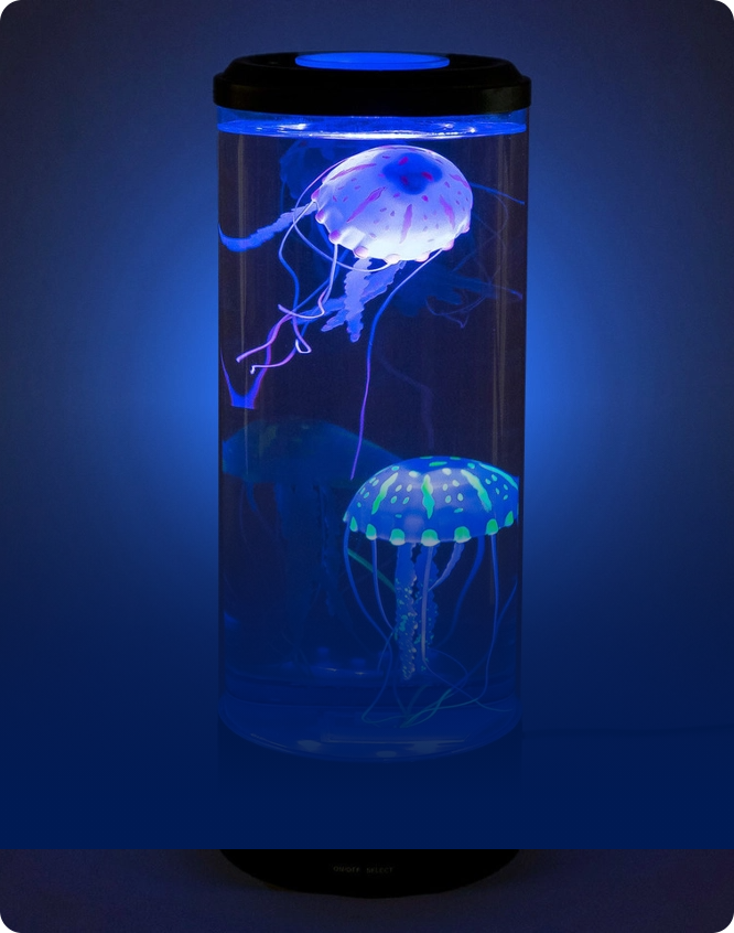 Calming Favorites banner image