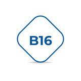 B16