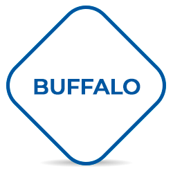 buffalo.png