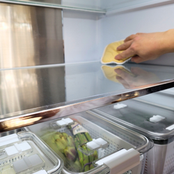 9-STEP RESET - FRIDGE SPRING CLEAN