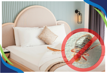 Achieving Bug-Free Bliss in the Hospitality Industry: The Ozone Solution Advantage 