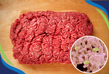 Efficacy of Gaseous Ozone Against Generic E.coli in Ground Beef Efficacy of Gaseous Ozone Against Generic E.coli in Ground Beef