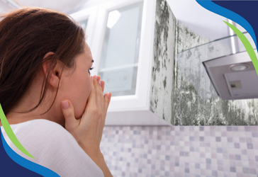 Guest Satisfaction Guaranteed: A Hotelier's Guide to Mold Prevention Guest Satisfaction Guaranteed: A Hotelier's Guide to Mold Prevention